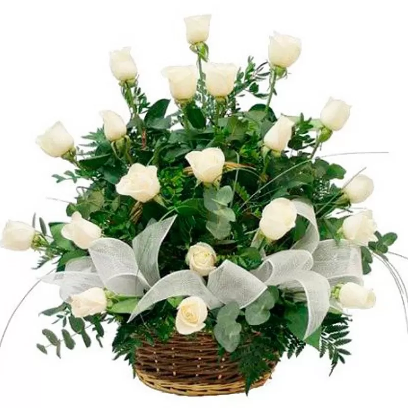 Canastillo de Condolencias 24 Rosas Blancas