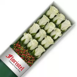 Caja de 12 Rosas Blancas