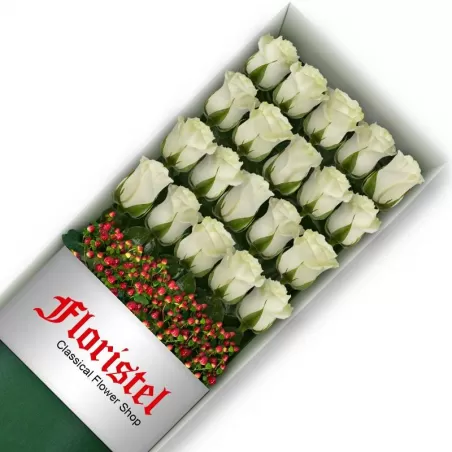 Caja de 20 Rosas Blancas