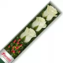 Caja de 3 Rosas Blancas