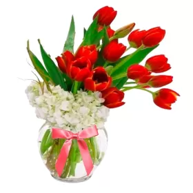 Florero Con 20 Tulipanes Color rojos con Hortensias