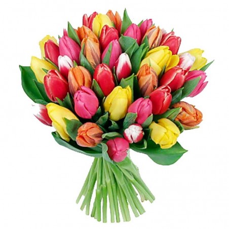 Ramo de Flores con 20 Tulipanes Mix de Colores
