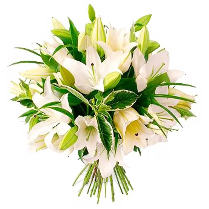Ramo de Flores Lilium Blancos