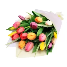 copia de Ramo con 20 Tulipanes Colores Mix Ramo con 20 Tulipanes Colores Mix