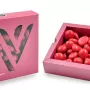 Chocolate Varsovienne Gragea Passion Cranberry 120 g