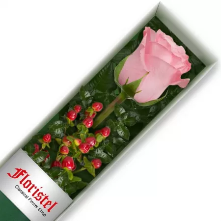 Caja de 1 Rosa Rosada