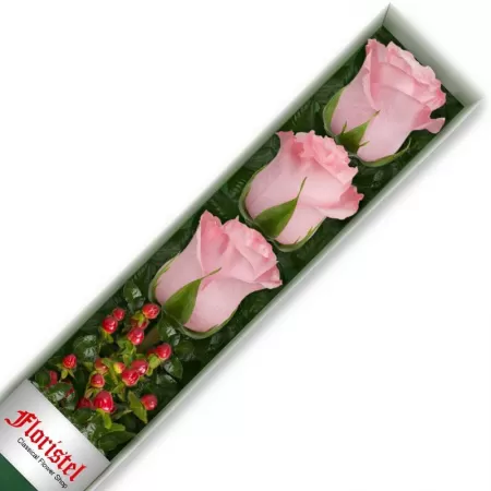 Caja de 3 Rosas Rosadas