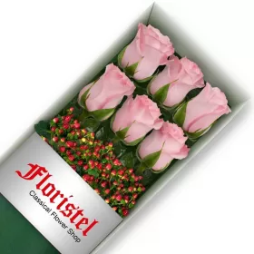 Caja de 6 Rosas Rosadas