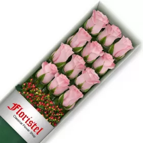 Caja de 12 Rosas Rosadas