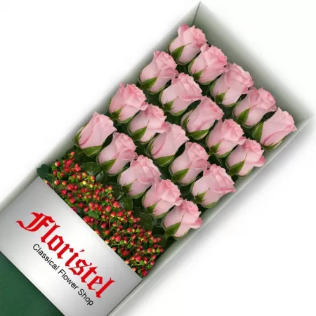 Caja de 20 Rosas Rosadas