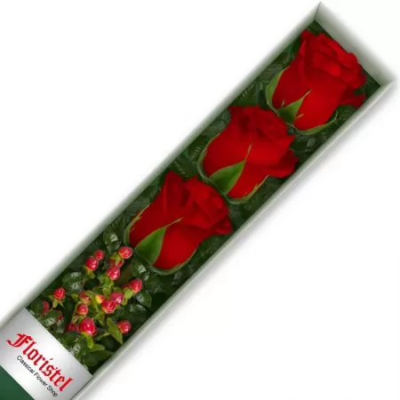 Caja de 3 Rosas Rojas