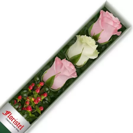 Cajas de 3 Rosas MIx Blancas y Rosadas 