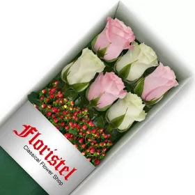 Cajas de 6 Rosas MIx Blancas y Rosadas 