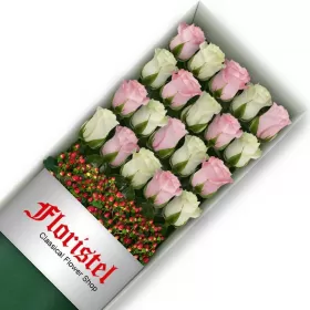 Cajas de 20 Rosas MIx Blancas y Rosadas