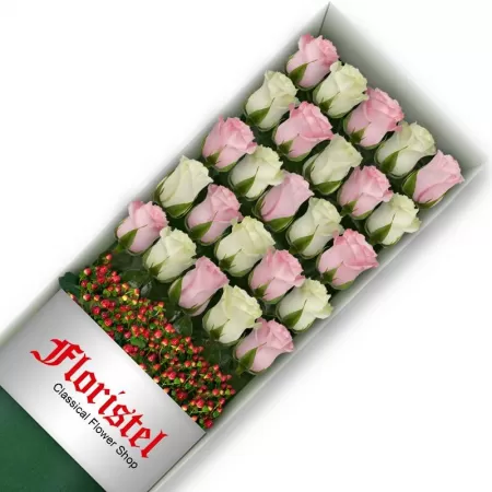 Cajas de 25 Rosas MIx Blancas y Rosadas