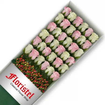 Cajas de 36 Rosas MIx Blancas y Rosadas