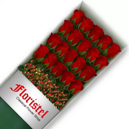 Cajas de 20 Rosas Rojas