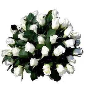 Ovalo con 25 Rosas Para Condolencia