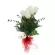 Florero de 6 Rosas Blancas y Peluche