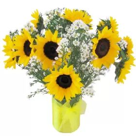 Florero con 10 Girasoles